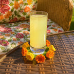 Tulip Coaster Crochet Pattern – Colorful Flower Doily PDF - Spring Floral Table Decor - Hand Trendy