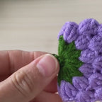 Crochet Berry Keychain PDF Pattern, Amigurumi Strawberry Keyring DIY Tutorial, Handmade Fruit Bag Charm Crochet Pattern Digital File